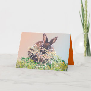Bunny Rabbit Greeting Cards Birthday, Sympathy