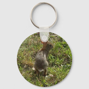 Bunny Rabbit Hare Stuff Keychain