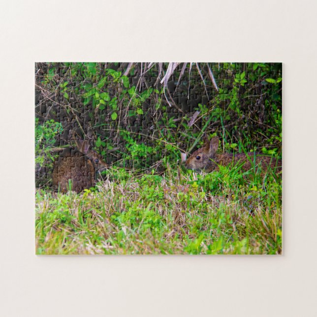 Bunny Rabbit Hare Wetlands Cute Nature Brown Jigsaw Puzzle (Horizontal)