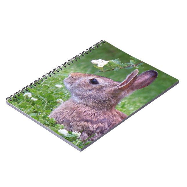 Bunny Rabbit in Grass with Flower Photograph Notebook (Left Side)