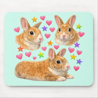 bunny rabbit kawaii cute rainbow pet mom mouse pad