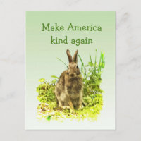Bunny Rabbit Make America Kind Again Postcard