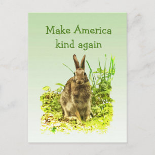Bunny Rabbit Make America Kind Again Postcard
