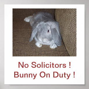 Bunny Rabbit No Solicitors Sign