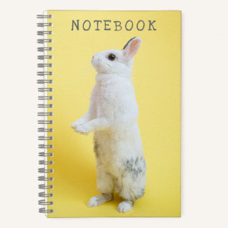 Bunny Rabbit on Yellow Notebook