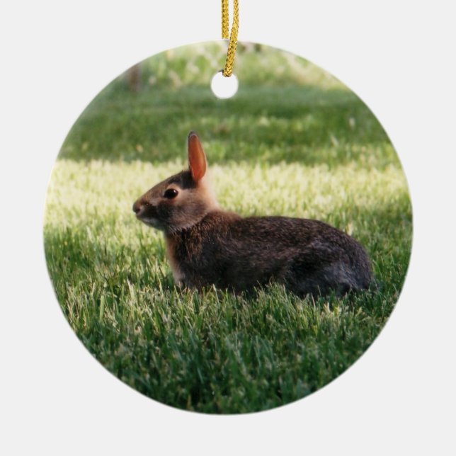 Bunny Rabbit Ornament (Front)