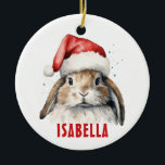 Bunny Rabbit Personalized Christmas Ornament<br><div class="desc">Bunny Rabbit Personalized Christmas Ornament</div>