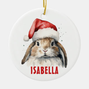 Bunny Rabbit Personalized Ornament