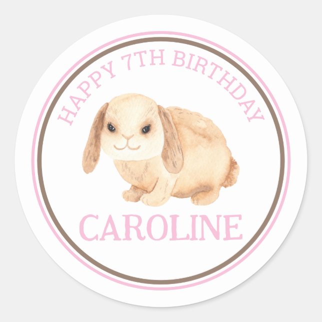 Bunny Rabbit Petting Zoo Birthday Party Sticker (Front)