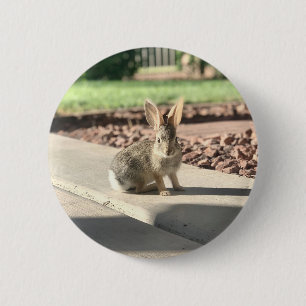 bunny rabbit photo Easter spring 2 Inch Round Button