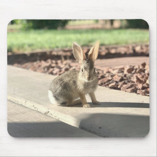 bunny rabbit photo Easter spring Mouse Pad