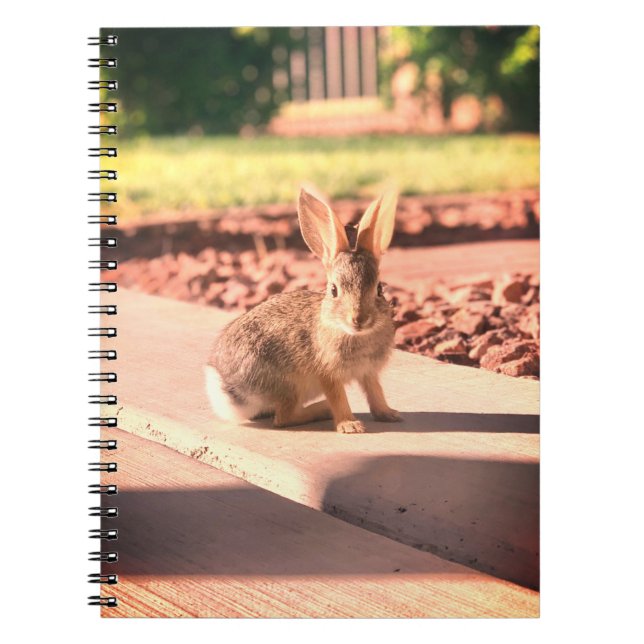 bunny rabbit photo Easter spring Notebook (Front)