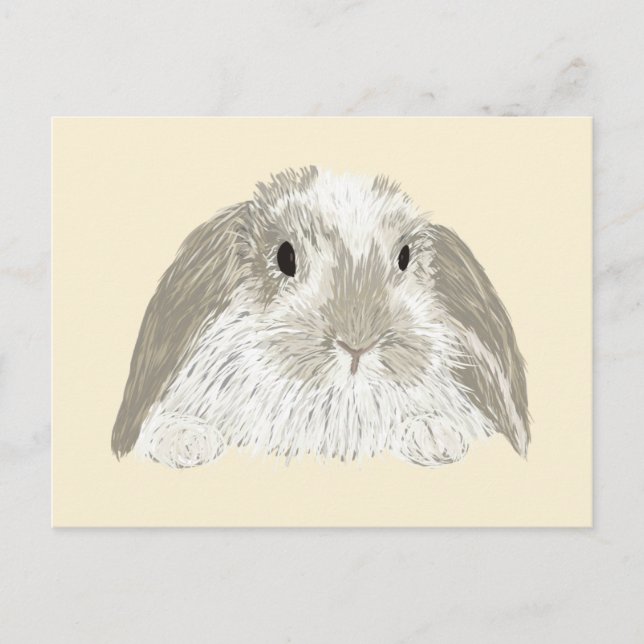 Bunny Rabbit Postcard (Front)
