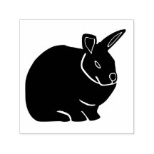 Bunny Rabbit