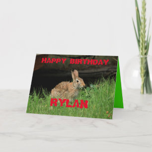 Bunny Rabbit shot Closeup with grass Greeting Card