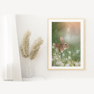 Bunny Rabbit Sitting In Dandelion Field Girls Room Photo Print