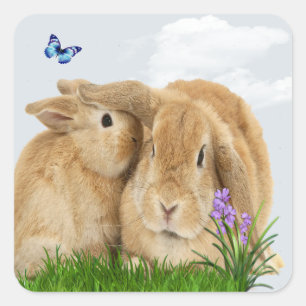 Bunny rabbit  square sticker