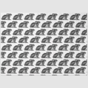 Bunny Rabbit Tissue Paper in Black & White