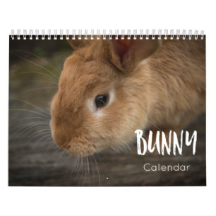 Bunny ( Rabbits )  2023 Calendar