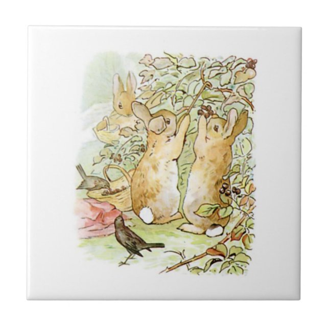 Bunny Rabbits: Blackberry Picking (Beatrix Potter) Tile (Front)