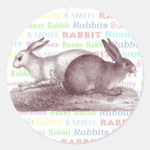 Bunny Rabbits Stickers - Dress Up Your Packages