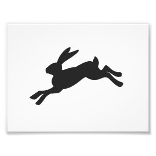 Bunny silhouette - Choose background color Photo Print