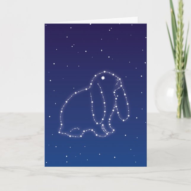 Bunny Sympathy Card (Front)
