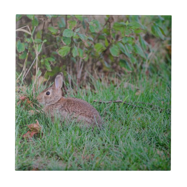 Bunny Tile (Front)
