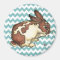 Bunny washing his face