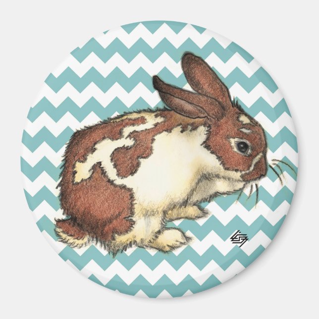 Bunny washing his face magnet (Front)