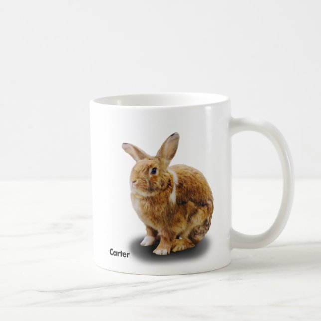BunnyLuv Mug featuring Carter (Right)