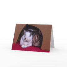 BunnyLuv Valentine's Day card (from him)