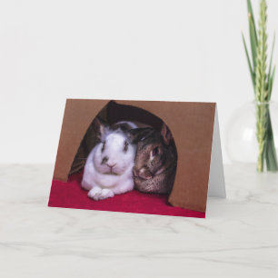 BunnyLuv Valentine's Day card (from him)
