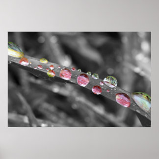 Bunte Tropfen-colorful drops-colorful drops Poster