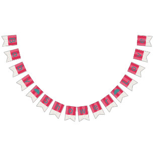 Bunting Baby Shower "Umbrella Watermelon" Flags