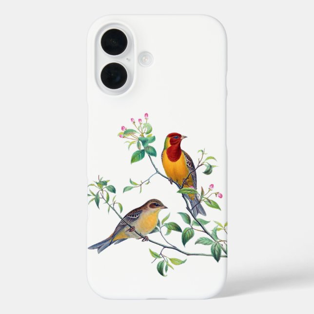 Bunting Birds on Branches Case-Mate iPhone Case (Back)