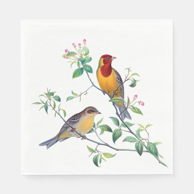 Bunting Birds on Branches Napkin (Front)