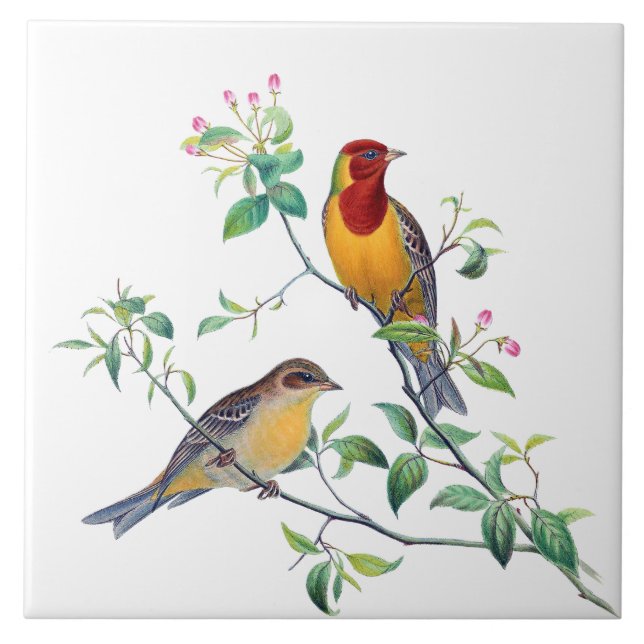 Bunting Birds on Branches Tile (Front)