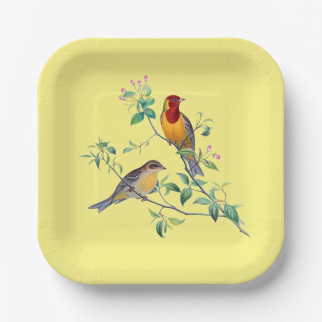 Bunting Birds,  Paper Plate (Front)