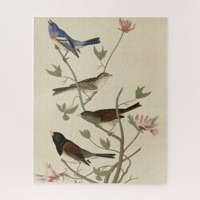 Bunting, Sparrow, Junco, (Finches) Audubon's Birds Jigsaw Puzzle (Vertical)