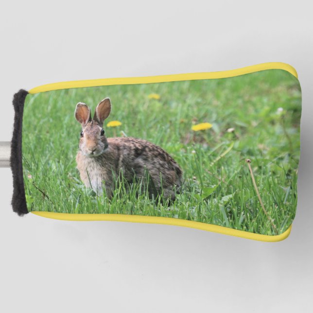 Buny Golf Head Cover (Front)