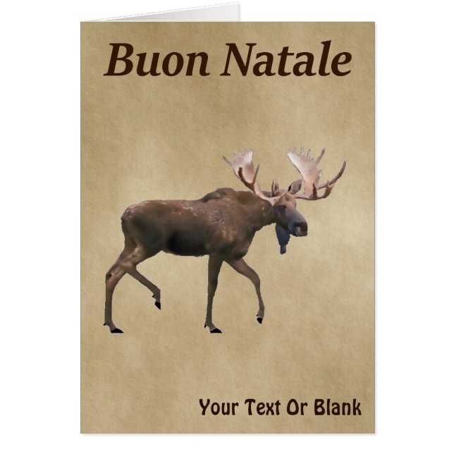 Buon Natale - Bull Moose On Old Paper (Front)