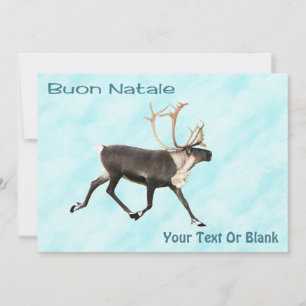 Buon Natale - Caribou (Reindeer) On Snow