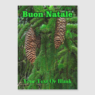 Buon Natale - Cones And Needles
