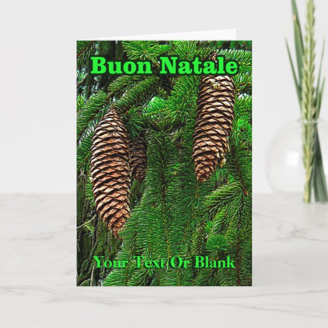 Buon Natale - Cones And Needles Holiday Card (Front)