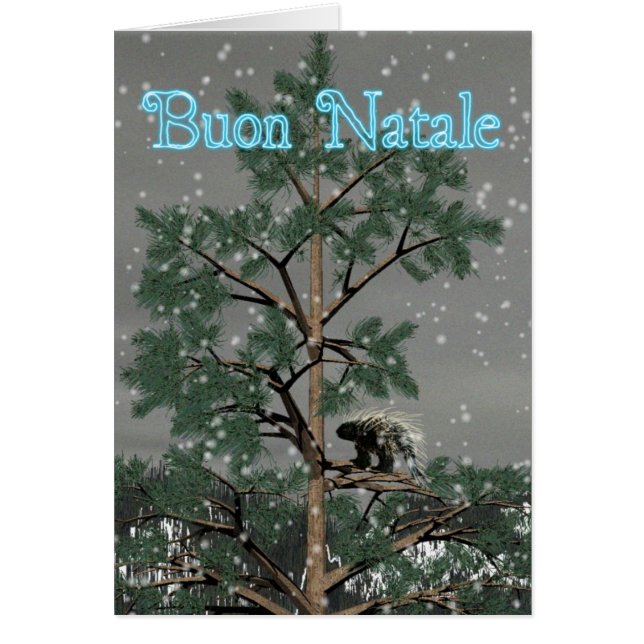 Buon Natale - Porcupine In A Pine Tree (Front)