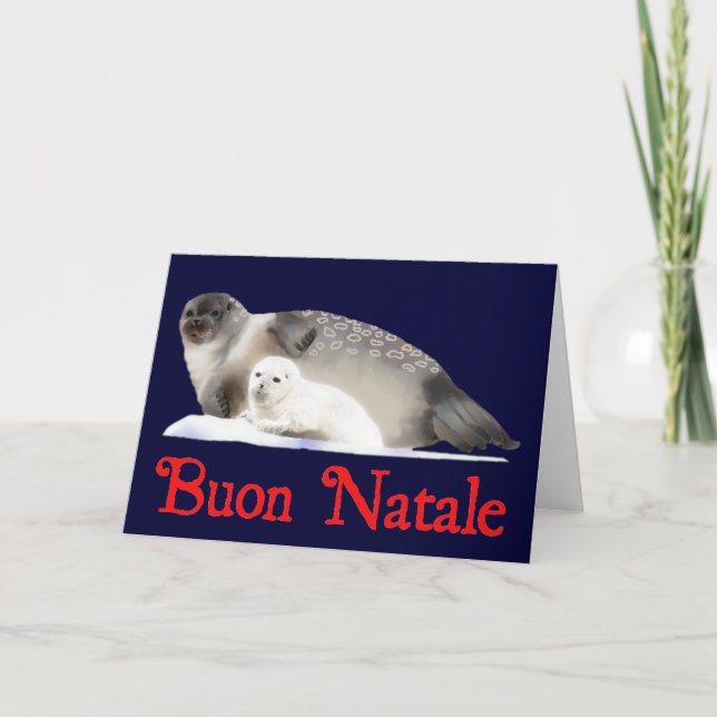 Buon Natale - Ringed Seal Holiday Card (Front)