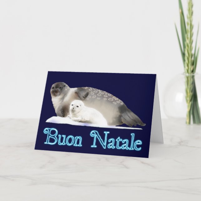 Buon Natale - Ringed Seal Holiday Card (Front)