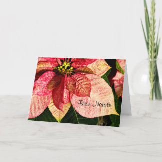 Buon Natale - rouge et carte de poinsettia d'or