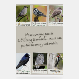 Burbank Pond Bird Collage Poster –